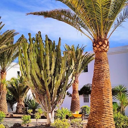 Flor De Las Dunas Pools Wifi Tennis Bikes For Free Corralejo Exterior foto
